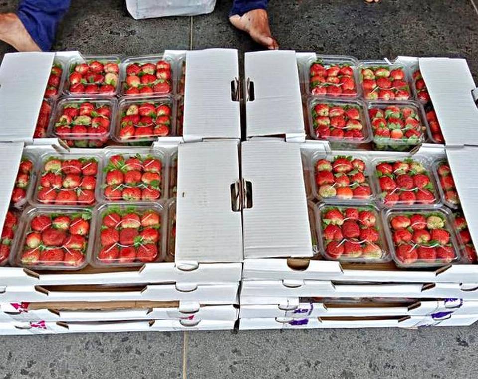 Slow start: Supply usually begins before Deepavali, but the first few crates have just hit the market.