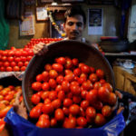 A vendor loads tomatoes in a bag for a customer at a wholesale vegetable market.