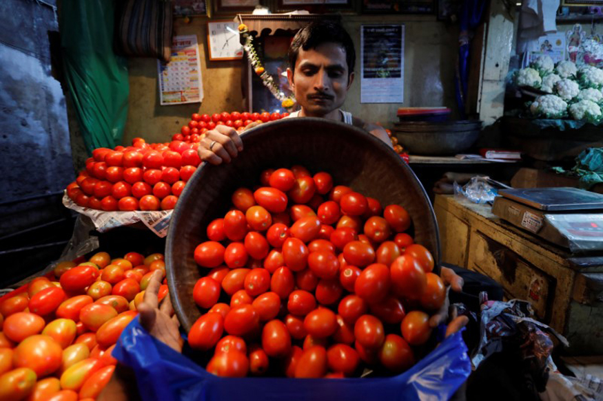 A vendor loads tomatoes in a bag for a customer at a wholesale vegetable market.