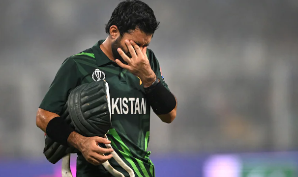 Pakistan cricket, Haris Rauf, fan altercation