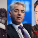 Hawk Tuah girl’s comment on Trump sparked a feud between Laura Loomer and Bill Ackman; Elon Musk reacted.